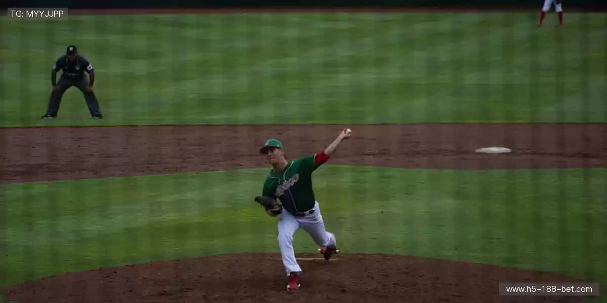 🎯 精准捕捉，不错过任何一个精彩瞬间！